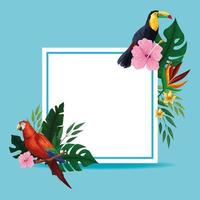 Summer tropical blank card frame vector