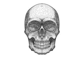 Skull head dot work design  vector