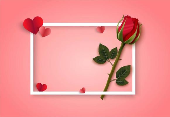 Valentines day pink background with white frame, hearts and rose