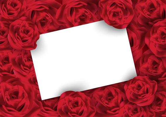 Valentines day rose background with white blank card