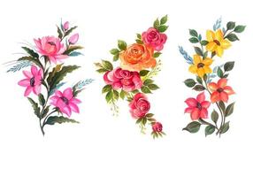 Conjunto de varios racimos de flores vector