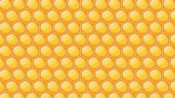 honeycomb pattern background vector