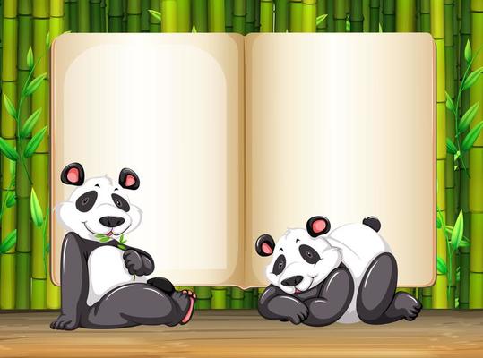 Border template with two panda and bamboo 