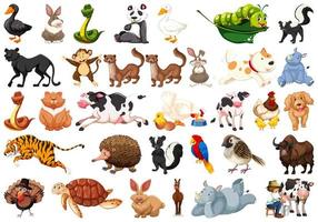 Large set of animals vector