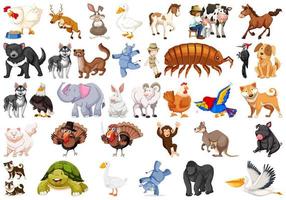 Conjunto de diferentes animales vector