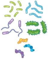 Un conjunto de bacterias vector