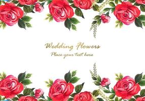 Decorative red rose with card background vector