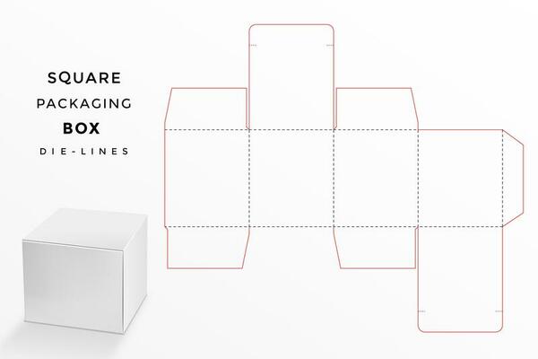 Download Free Vector Box Templates