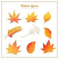 Autumn Watercolor Leaves Collection vector