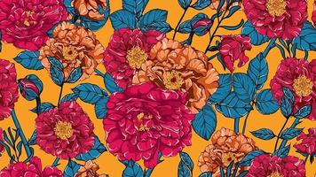 Seamless pattern of roses vector