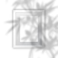 Marco en blanco con superposición de sombra de planta vector
