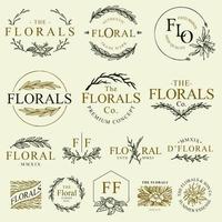 floral ornament collection vector