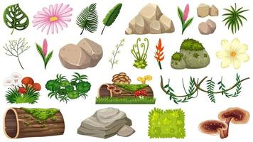 Conjunto de objetos de la naturaleza. vector