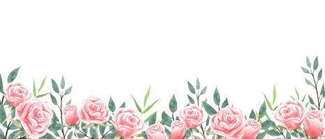 Roses garden wallpaper on white background.  vector