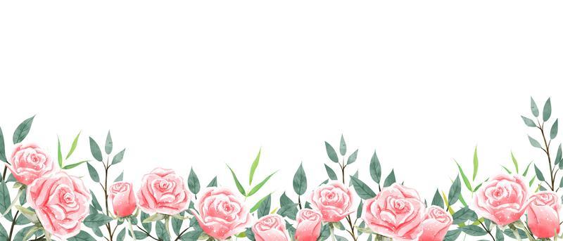 Roses garden wallpaper on white background. 