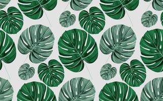 Monstera leaves background vector