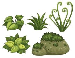 Set of jungle elements vector