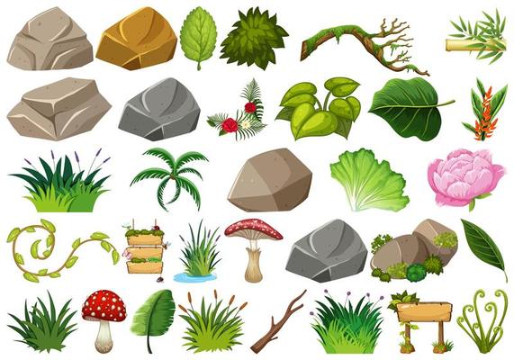 Set of isolated objects theme - rocks and plants