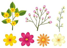 Un conjunto de hermosas flores. vector