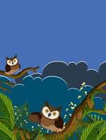 Owls on tree branches vector