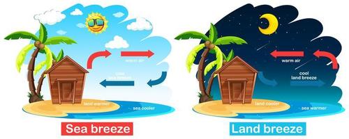 Diagram showing circulation of sea and land breeze vector