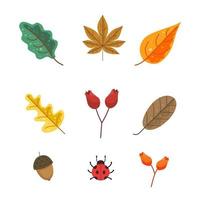 Autumn Leaves Pack vector