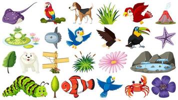 Set of different animal and nature objects vector