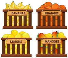 conjunto de cesta llena de frutas vector