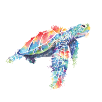 Sea turtle painted in watercolor vector