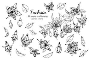 colección de flores y hojas fucsias vector