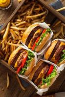Double Cheeseburgers and French Fries photo