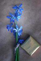 small blue flowers chocolate photo