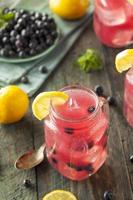 Organic Sweet Blueberry Lemonade photo