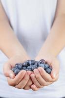 female teen hands holding ripe blueberries photo