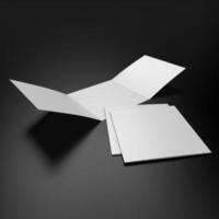 three-fold blank leaflets or brochures