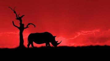 silueta de rinoceronte africano