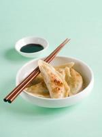 asian dumpling photo