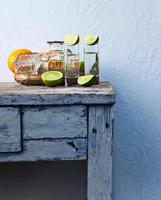 tequila and citrus fruits photo