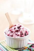Blueberry ice cream in a bowl photo