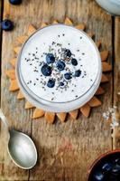 vegan coconut Chia seed pudding with blueberries