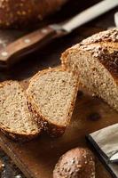 pan de trigo integral casero ecológico