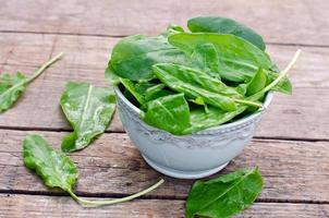 Fresh spinach in a bowl photo