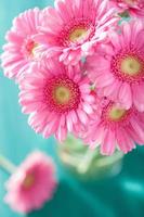beautiful pink gerbera flowers bouquet in vase photo