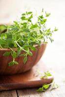 fresh thyme herb in wooden bowl photo
