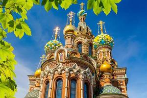 Church of the Savior on Spilled Blood photo