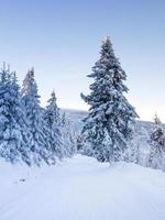 Winter in mountains photo