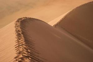 Sand Dune photo
