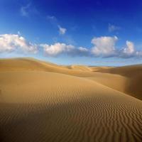 Desert sand dunes in Maspalomas Gran Canaria photo