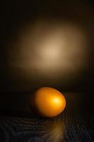 the golden egg