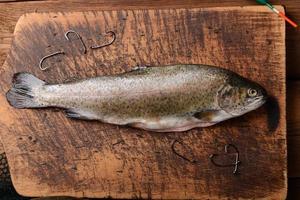 Fresh trout photo
